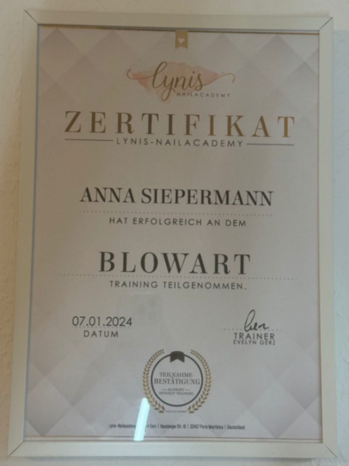 Blowart Training